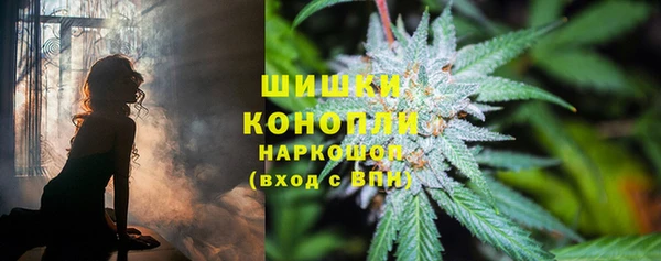 амф Осташков